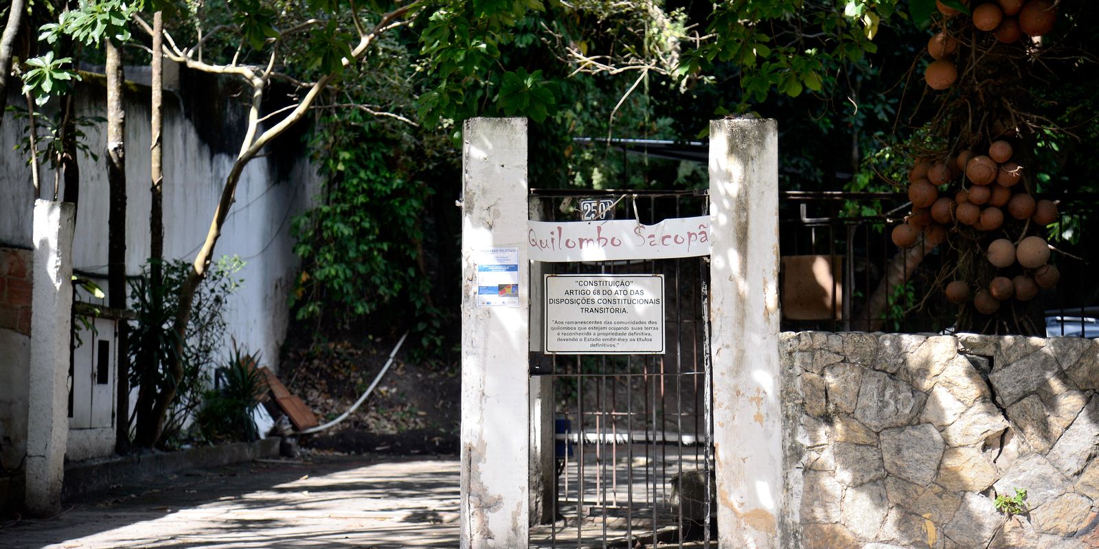 Único bloco criado por quilombolas homenageará Preta Gil no Carnaval Único bloco criado por quilombolas homenageará Preta Gil no Carnaval