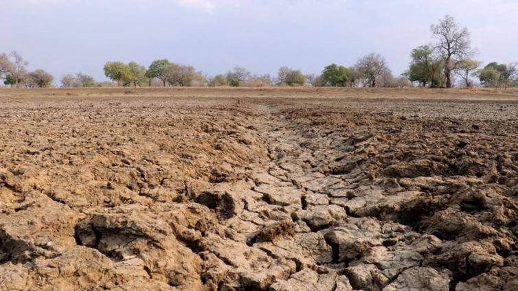Vale de Água e Fogo retrata o fim da estiagem no Rio Luangwa