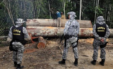 Força Nacional vai reforçar combate ao desmatamento e comércio ilegal de madeira em Novo Progresso, no Pará