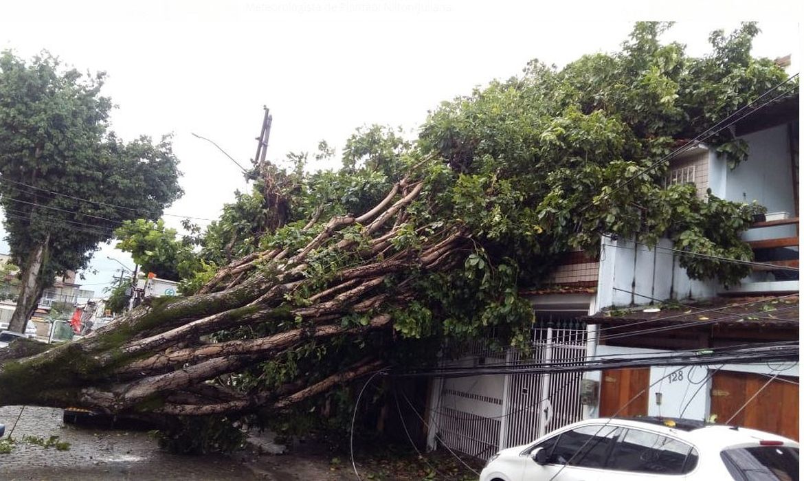 Na Ilha do Governador, árvore caiu sobre uma casa