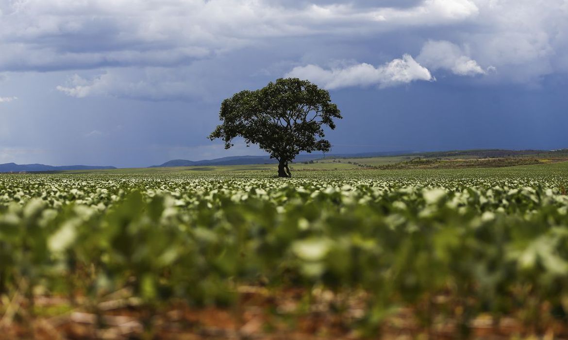 Pesquisadores testam cálculo do PIB Verde em região de fronteira agrícola