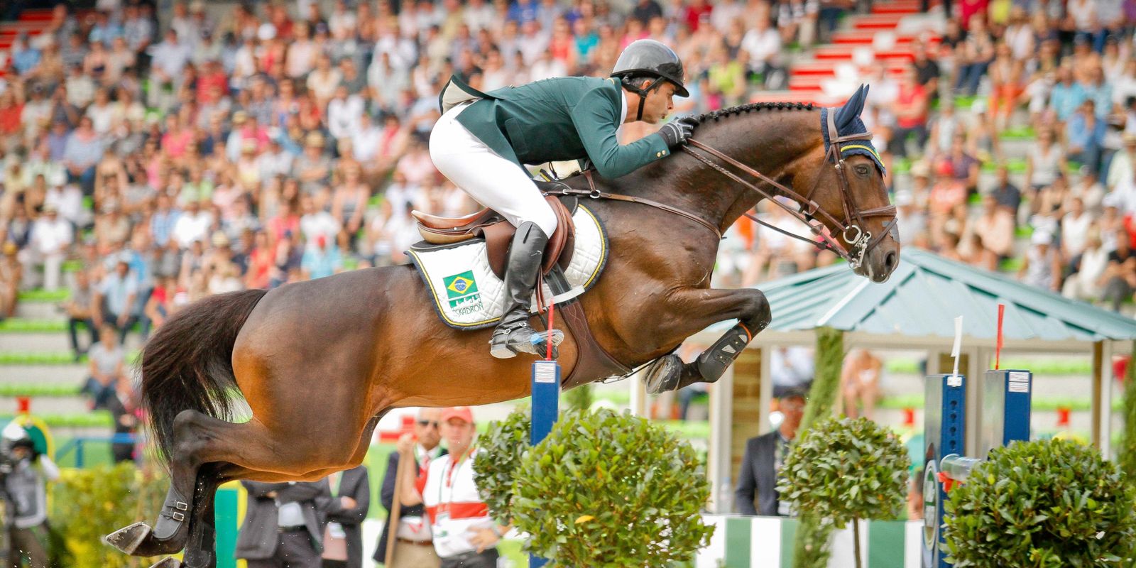 Cavalos atletas: conheça os nomes consagrados do hipismo na