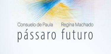 Álbum Pássaro Futuro, de Consuelo de Paula e Regina Machado