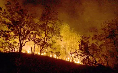 20-02-2024 Queimadas e incêndios em Amajari – Roraima - Foto Jader Souza/AL Roraima