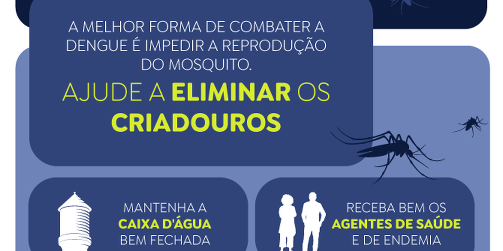 La ciudad de Sao Paulo registra su primera muerte por dengue