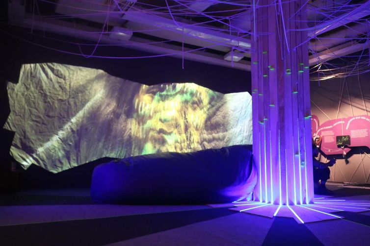 Exposição mostra ao público conexão pelos fungos