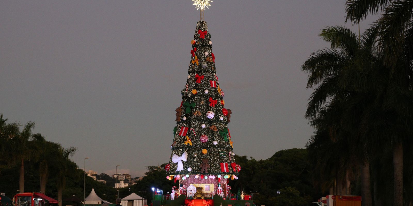 Parque Villa-Lobos, em SP, exibe Árvore de Natal com 52 m de altura |  Agência Brasil
