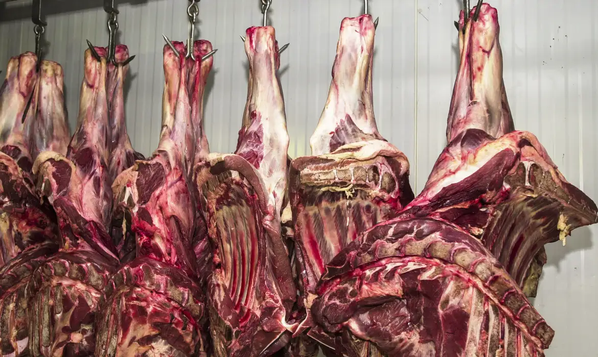 Marcello Casal JrAgência Brasil Carne fresca,Açougues, Frigoríficos, alimento