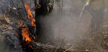 Incêndio amazônia 2019