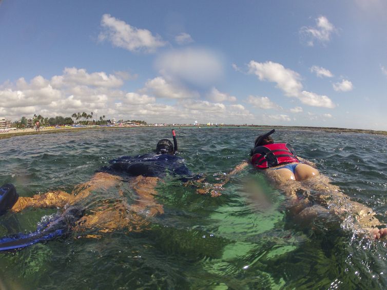 Ipojuca (PE), 26/10/2023 - Prática do snorkel em piscinas naturais formadas pelos recifes de corais na praia de Porto de Galinhas. Foto: Fernando Frazão/Agência Brasil