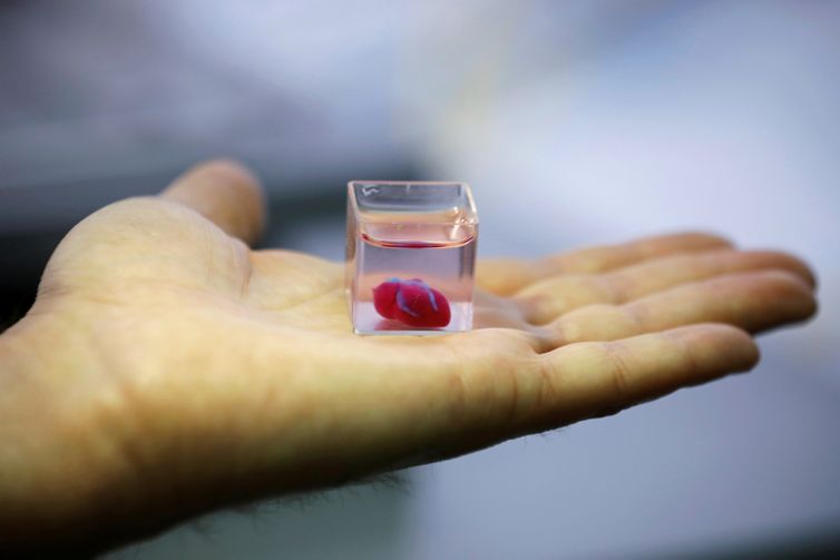 Um copo transparente contendo o que os cientistas israelenses da Universidade de Tel Aviv dizem ser o primeiro coração vascularizado impresso em 3D e vascularizado do mundo