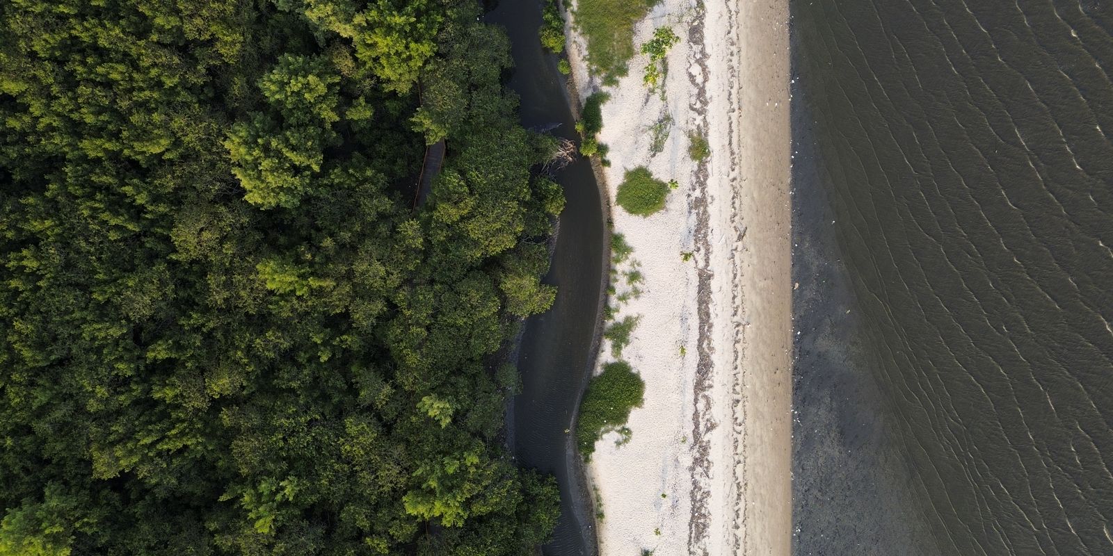 “Não existe Planeta B”, alerta astrofísico às vésperas da COP30