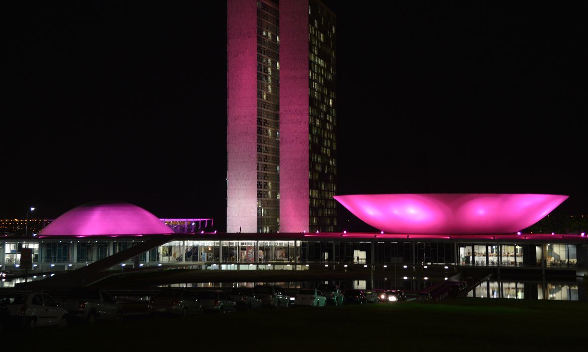 Monumentos de Brasília iluminados de rosa para a campanha Outubro Rosa. Movimento mundial de conscientização sobre a importância da detecção precoce do câncer de mama (Valter Campanato/Agência Brasil)