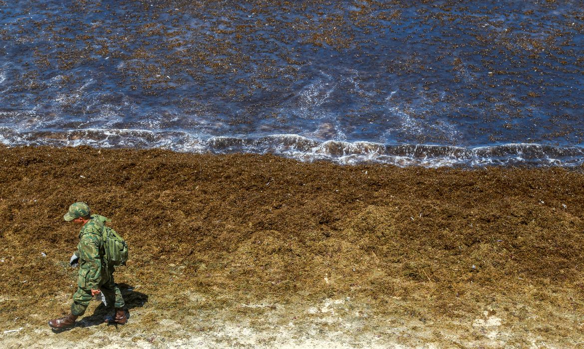 Soldados do exército brasileiro trabalham para remover um derramamento de óleo na praia de Itapuama, em Cabo de Santo Agostinho, Pernambuco, Brasil, 22 de outubro de 2019. REUTERS / Diego Nigro