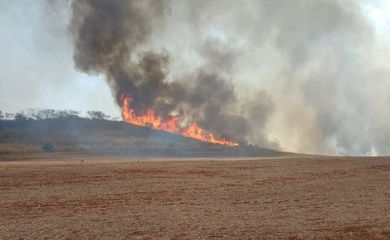São Paulo (SP), 26/09/2024 - Incêndio em canavial. Foto: SEMIL/Divulgação