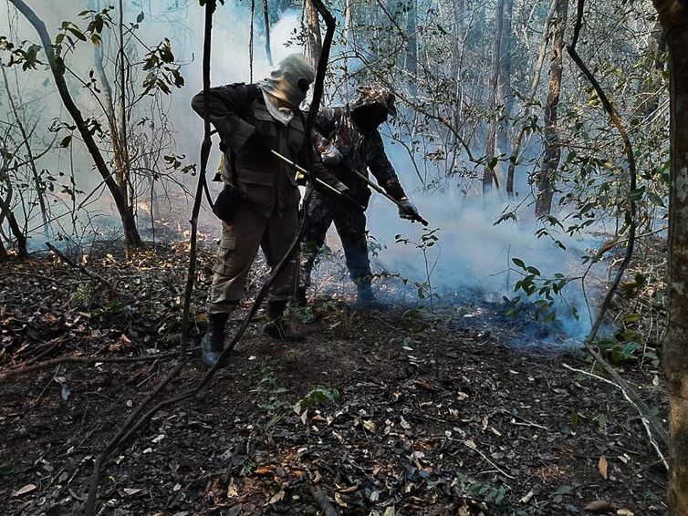 Força Nacional de Segurança Pública, incêndio no pantanal