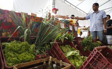Rio de Janeiro - Hortaliças e verduras orgânicas à venda na IX Feira Estadual da Reforma Agrária Cícero Guedes, no Largo da Carioca, região central da cidade.  (Foto: Tânia Rêgo/Agência Brasil)