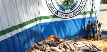 Pesca sem licença ambiental