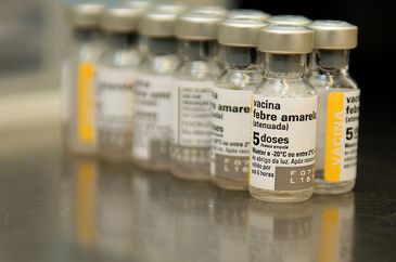 Ampolas de vacinas para febre amarela