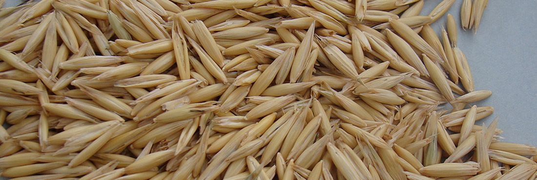 O brasileiro tem aumentado o consumo de grãos e fibras