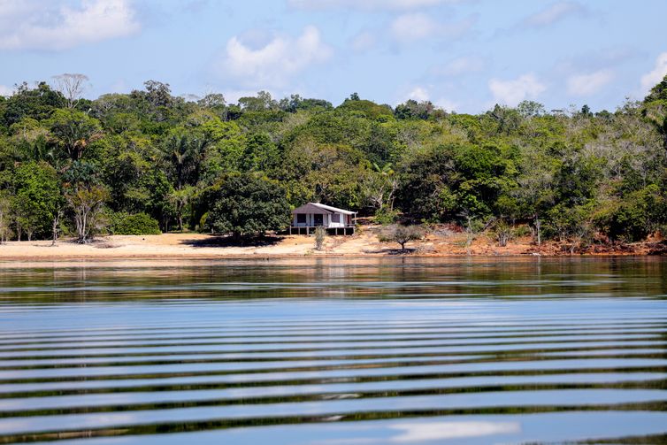 Manaus, AM 06/07/2024 Cenas da Amazônia. Rio Negro  Foto: Fabio Rodrigues-Pozzebom