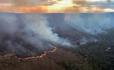 Brasília (DF) 08/09/2024 - Incêndio Chapara dos Veadeiros
Foto: CBMGO/Divulgação