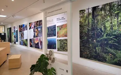 FOTO DE ARQUIVO - Exposição do Pico da Neblina. Foto: Parque Nacional da Floresta Negra da Alemanha/Divulgação