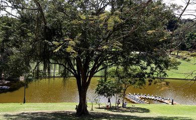 A Quinta da Boa Vista, no bairro de São Cristóvão, zona norte da cidade,  é revitalizada para o Bicentenário da Independência.