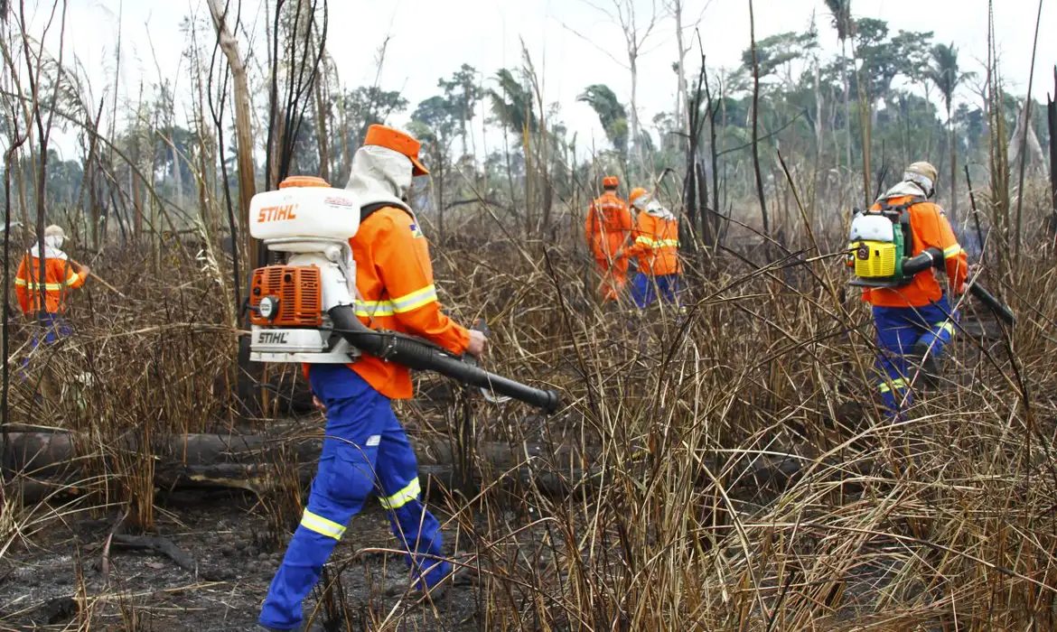 Brasília (DF) 28/08/2024 - Governo de Rondônia registra queda de 72,6% nas ocorrências de incêndios florestais no Estado.
Foto: Governo do Estado de Rondônia/Divulgação