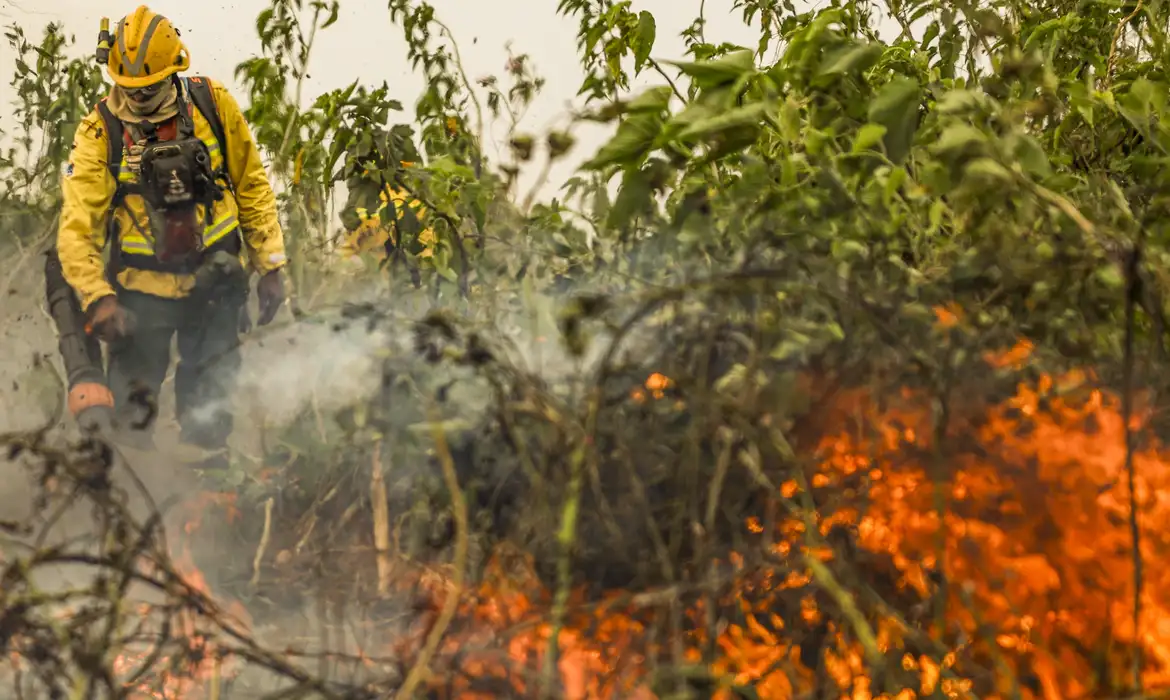 Marcelo Camargo/Agência Brasil Corumbá (MS), 29/06/2024 - Com o auxílio de aviões, brigadistas do Prevfogo/Ibama combatem incêndios florestais no Pantanal. Foto: Marcelo Camargo/Agência Brasil