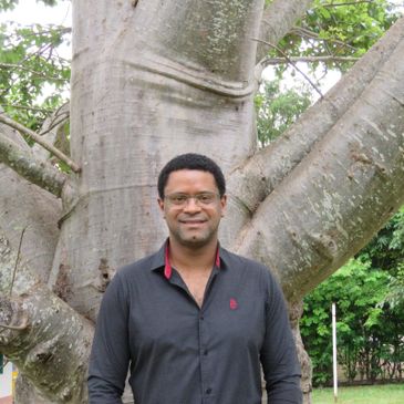 Especialista lançou site interativo para acompanhar a evolução dos Baobás no Brasil e trazer informações sobre essa árvore milenar 