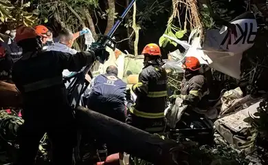 São Paulo (SP), 10/03/2025 - Avião caiu em aldeia indígena no litoral de São Paulo. Foto: Defesa Civil SP/Divulgação