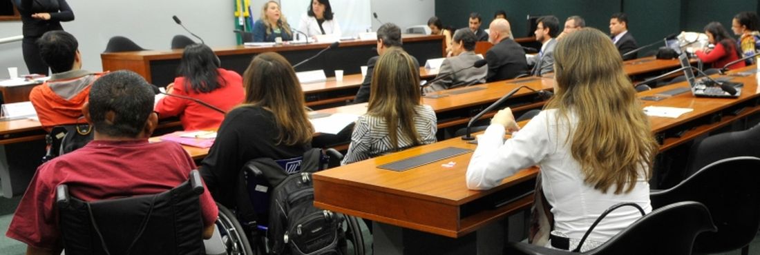 Brasília - A Comissão de Turismo e Desporto da Câmara promoveu audiência pública para debater o Direito humano ao lazer e a situação da acessibilidade do turismo para as pessoas com deficiência no Brasil.
