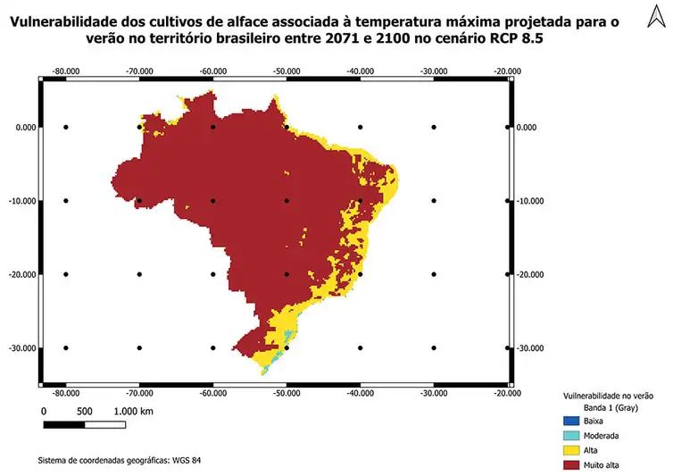 EMBRAPA/Divulgação Brasília (DF), 08/09/2025 - Aquecimento global pode tornar inviável cultivo de alface no campo. Foto: Embrapa/Divulgação