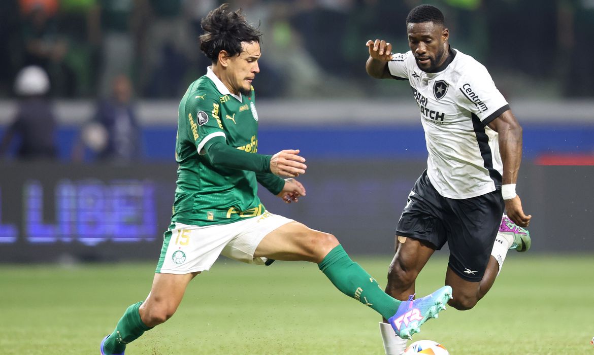 Vitor Silva/Botafogo/Direitos Reservados Botafogo, Palmeiras, Libertadores