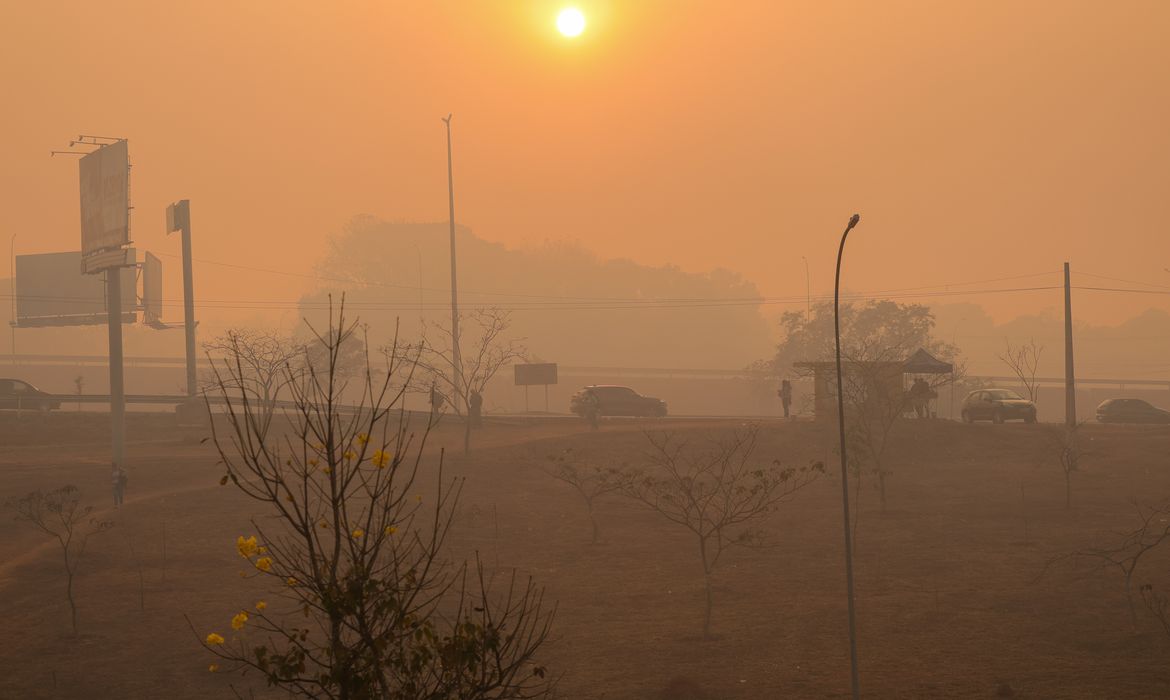 Brasília (DF) 16/09/2024 A capital amanheceu coberta de fumaça causada pelo incêndio no Parque Nacional de Brasília Foto: Fabio Rodrigues-Pozzebom/ Agência Brasil