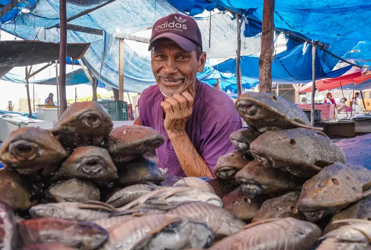 Manaus (AM), 20/11/2023,   João Bosco Saraiva de Souza, Pescador, vende  peixes na região do Porto de Manaus. Manaus sofrre com a maior seca em 121 anos. Foto: Rafa Neddermeyer/Agência Brasil