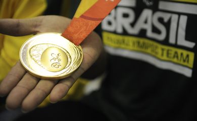 O governador Luiz Fernando Pezão recebe paratletas campeões nos Jogos Parapan-Americanos de Toronto, no Palácio da Guanabara (Tânia Rêgo/Agência Brasil)