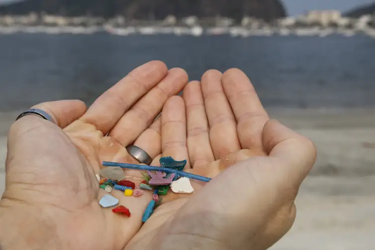 Rio de Janeiro -  O biólogo Jonas Leite, doutor em oceanografia, presidente do Instituto Meros do Brasil, mostra microplástico vindo do mar coletado na areia da praia de Botafogo. (Fernando Frazão/Agência Brasil)