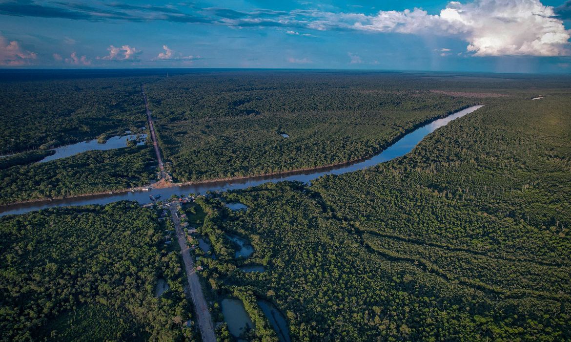 10/08/2023, Ambientalistas denunciam desmatamento às margens de rodovia amazônica. Foto: Orlando K Júnior