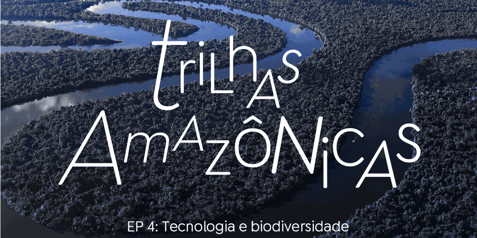 Trilhas Amazônicas: A tecnologia atua para mapear a biodiversidade