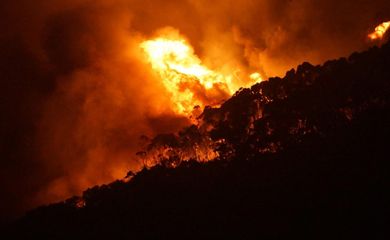 Um incêndio florestal no Sul da Austrália nessa sexta-feira (25), Dia de Natal, destruiu 53 casas 