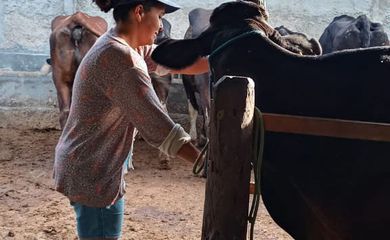 São Paulo SP) - No sertão do nordeste brasileiro, a produtora rural Rafaela Alves conta os desafios com a produção do gado leiteiro. Rafaela e sua filha Ana Luiza, na pequena propriedade de gado leiteiro em Sergipe. Foto: Arquivo Pessoal