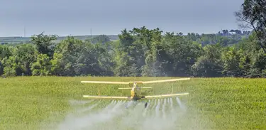 Agrotóxicos na lavora