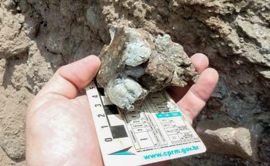 Brasília (DF), 28/05/2025 - Moluscos de 140 milhões de anos são achados em Pernambuco.
Foto:  SGB/Divulgação