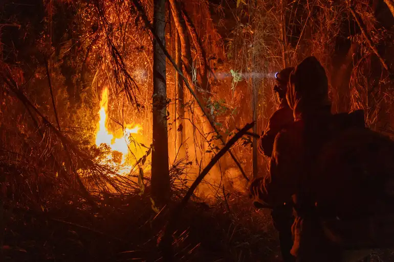 Amazônia-11/12/2024 Amazônia tem o maior número de queimadas e incêndios em 17 anos.