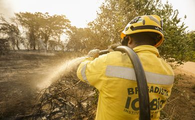 Porto Jofre (MT) 17/11/2023 – Brigadistas do ICMBIO fazendo resfriamento do fogo, durante incêndio florestal que atige o Pantanal.
Foto: Joédson Alves/Agência Brasil