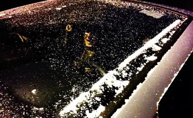 Flocos de neve ficaram acumulados nos carros estacionados nas ruas