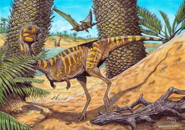 Museu Nacional anuncia descoberta de dinossauro muito raro

Berthasaura leopoldinae representa um dos esqueletos mais completos desses répteis descobertos no Brasil