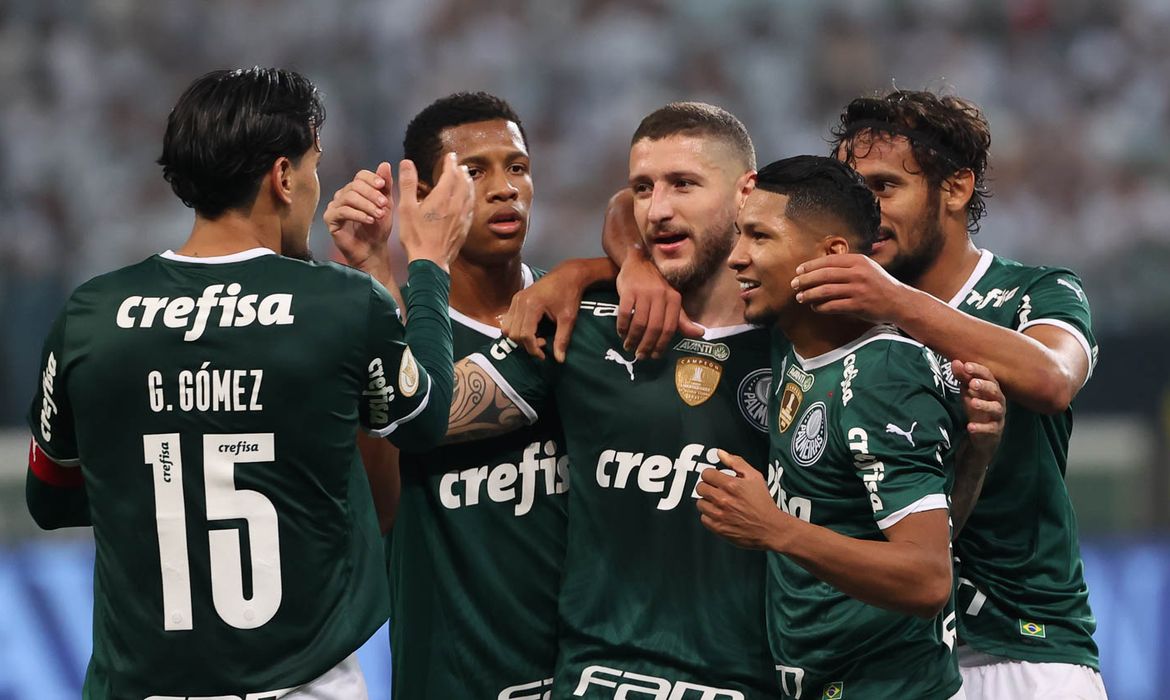 Zé Rafael, Palmeiras, Atlético-GO